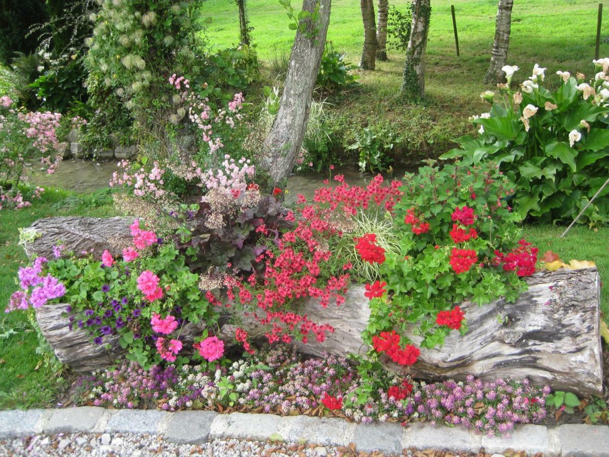 Bed and Breakfast Retour Aux Sources Bainghen Exterior foto